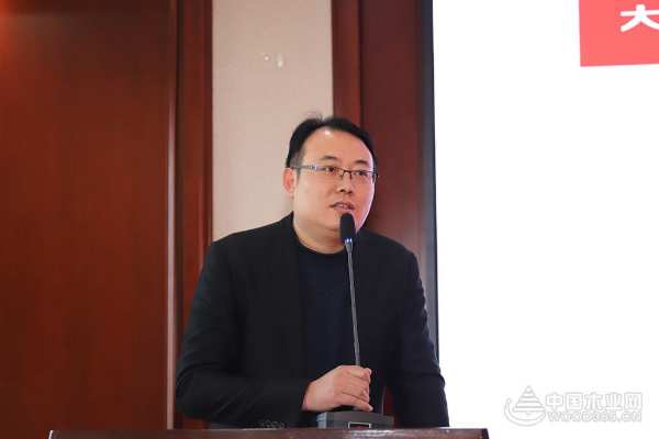 新渠道，新增长——大王椰湖南2020年家装渠道启动会圆满召开