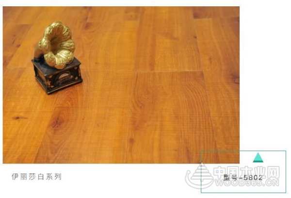 布纹密语，邂逅一窗明媚——鹏鸿地板伊丽莎白系列