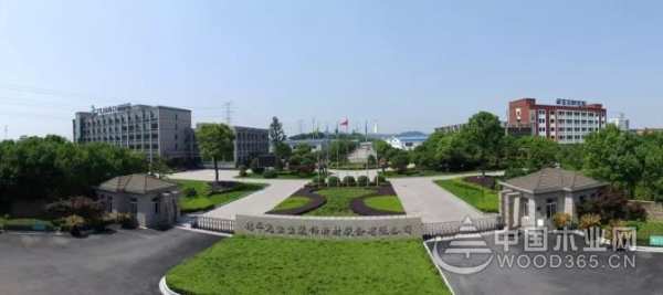 质量好是对消费者**的诚信，兔宝宝荣获2019“全国质量诚信标杆企业”荣誉称号