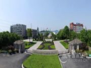 质量好是对消费者**的诚信，兔宝宝荣获2019“全国质量诚信标杆企业”荣誉称号