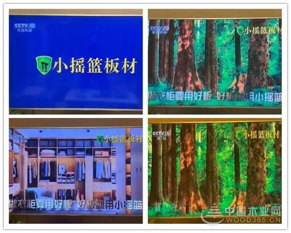 小摇篮入选2019央视展播品牌，品牌影响力提升！