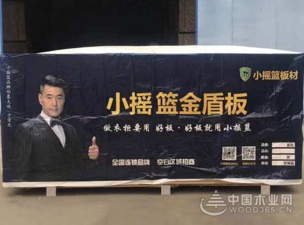 小摇篮入选2019央视展播品牌，品牌影响力提升！