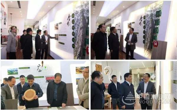 广西自治区纪委副书记到十大生态板品牌壮象调研指导工作
