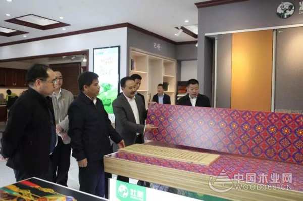 广西自治区纪委副书记到十大生态板品牌壮象调研指导工作