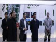 广西自治区纪委副书记到十大生态板品牌壮象调研指导工作