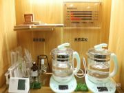 耐水防潮还能养鱼？大王椰板材有点“牛”！