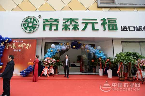 祝贺！“厚积薄发 赋能未来”帝森元福十七周年庆暨新店开业庆典圆满落幕