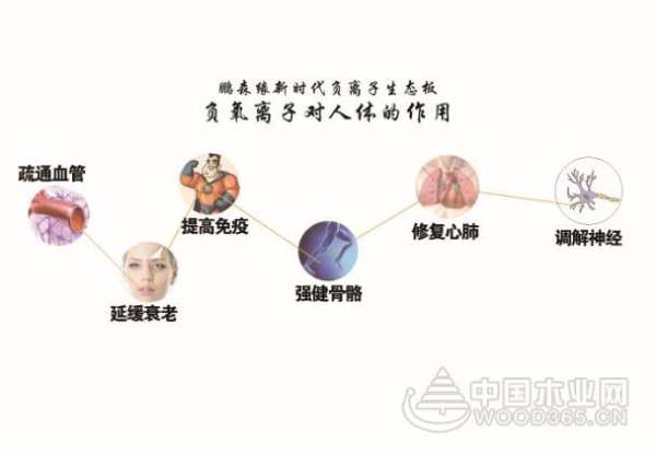 金九银十来袭 家装就找鹏森缘