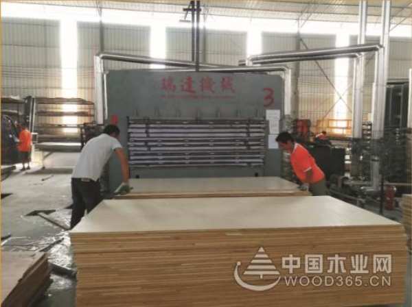 金九银十来袭 家装就找鹏森缘