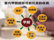 金九银十来袭 家装就找鹏森缘