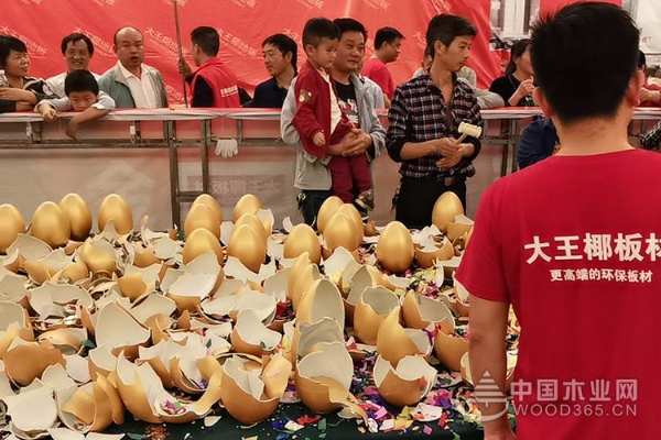 大王椰板材七重好礼感恩回馈，超级环保日娄底站火爆收官