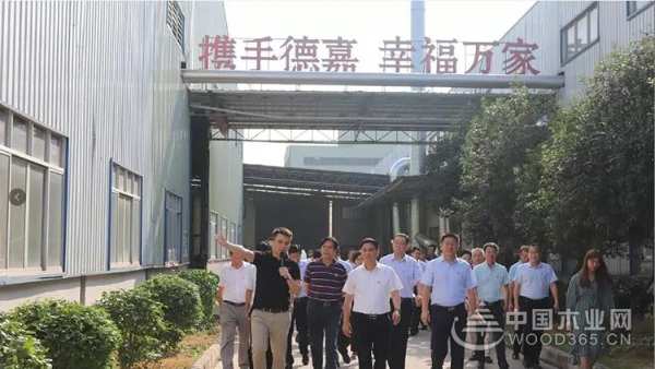 《德嘉木业》—李新元：推动木材加工业高质量快速发展　全力打造新时代“四力”新贵港