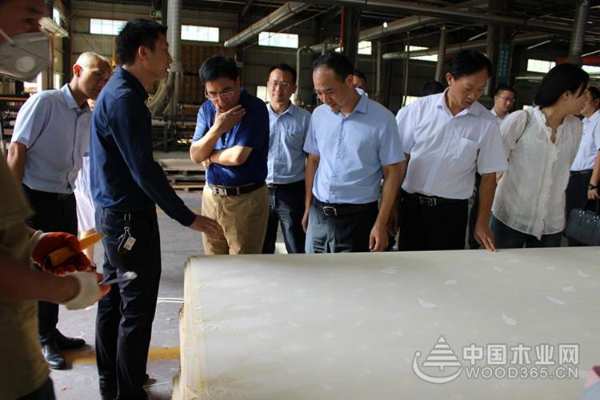 邵阳市人民银行行长李贤智、新宁县委常委、常务副县长谢小军 一行莅临红崀山木业调研