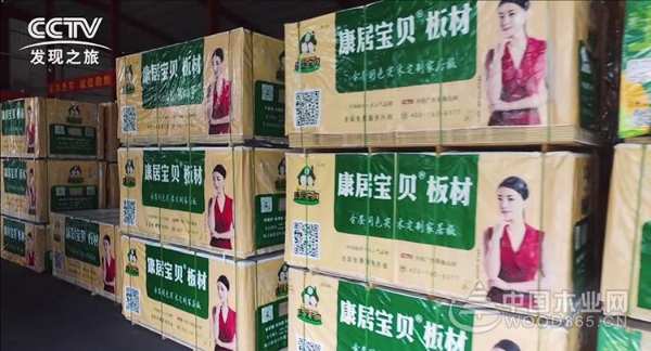 匠心品质铸就优质品牌，康居宝贝强势登陆央视《品质》栏目!