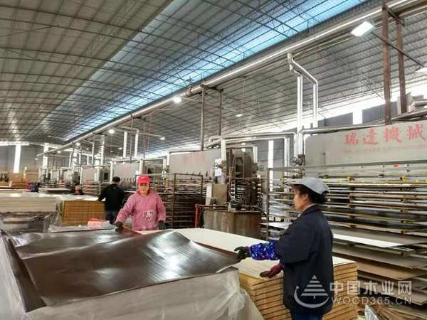你们放假 我热销|鹏森缘板材，实力看的见