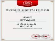 载誉前行，莫干山与世界地板业工商峰会共话绿色未来！