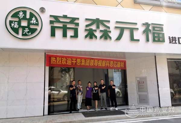 周年庆正式开启！帝森元福专注健康板材研发17年，厚积薄发成就非凡品牌