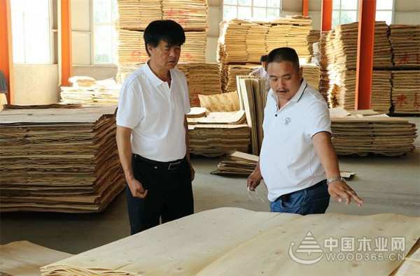 欧米熊：把控品质 打造匠心板材