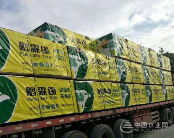 捷报｜鹏森缘韶关运营中心签约成功