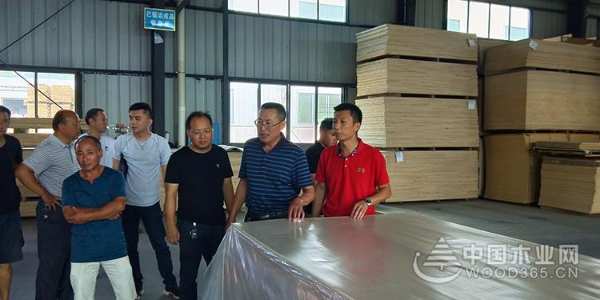 湖南邵阳市林业局局长李秀清一行到访红崀山木业