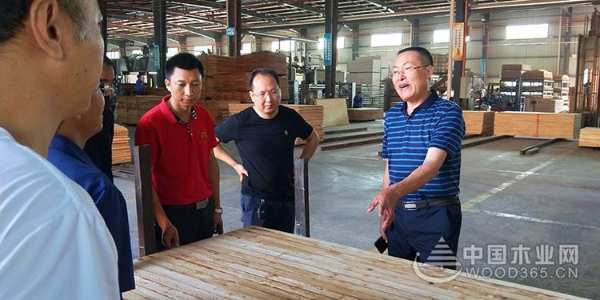 湖南邵阳市林业局局长李秀清一行到访红崀山木业
