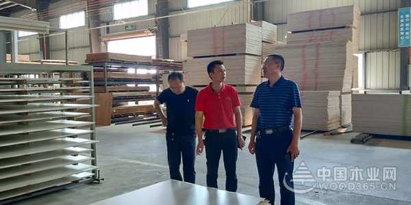 湖南邵阳市林业局局长李秀清一行到访红崀山木业