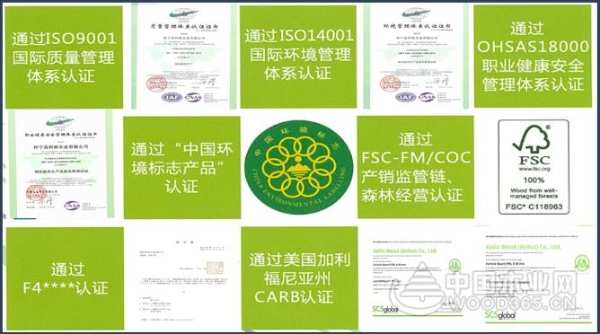 科林全面通过FSC森林认证， 成人造板行业前列