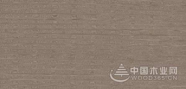 直击上海展会 | 兔宝宝新品亮相，打造环保装修新风尚！