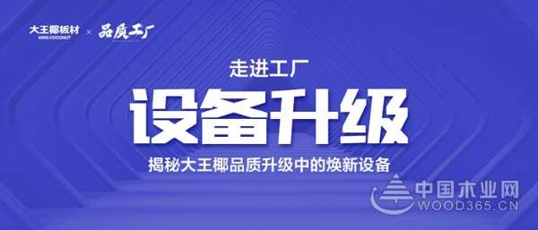 大王椰工厂设备大揭秘！真正好板材是怎么诞生的？
