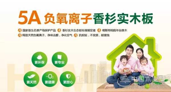 喜报：壮象再次荣获