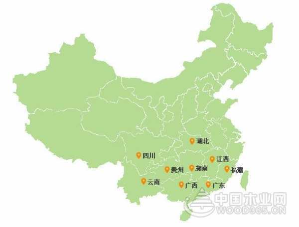 行业实力认证，鹏森缘加冕2019金匠榜“双料王”！