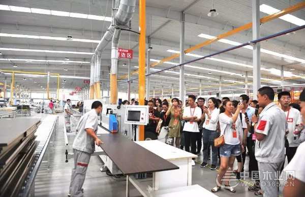 品质兑现实力——鹏鸿金匠榜连续六年成功折桂！