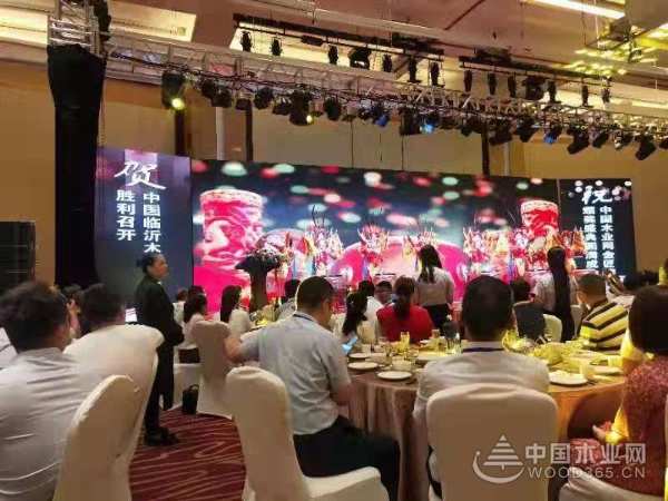 实至名归 鹏森缘连夺2019金匠榜两项殊荣