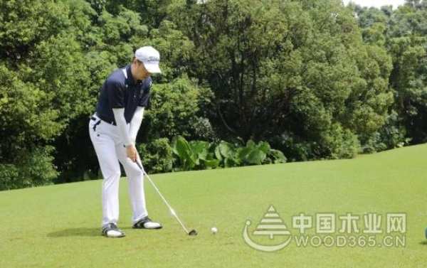 大咖云集，2019金钢铂林杯中国明星设计师高尔夫俱乐部邀请赛正式举行
