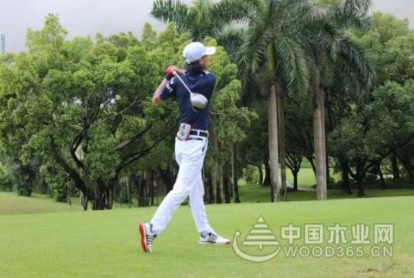 大咖云集，2019金钢铂林杯中国明星设计师高尔夫俱乐部邀请赛正式举行