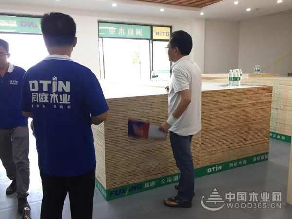 热烈祝贺洞庭木业株洲磐龙世纪城店隆重开业