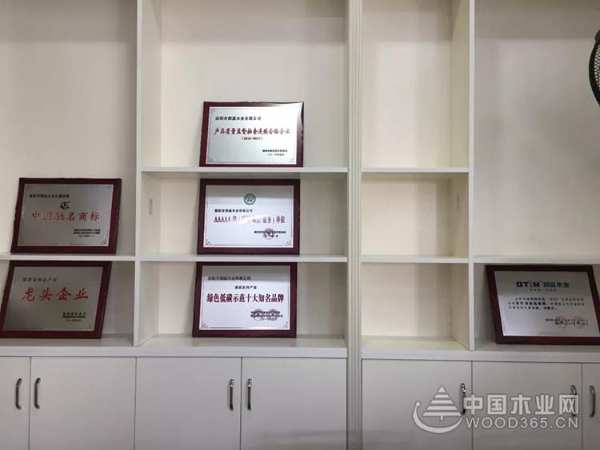热烈祝贺洞庭木业株洲磐龙世纪城店隆重开业