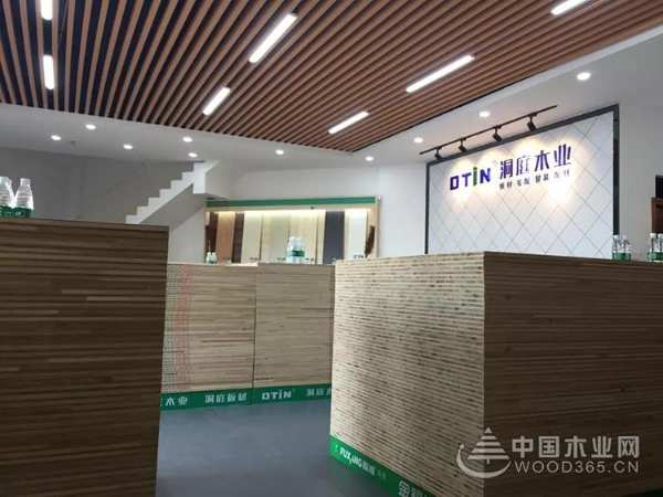 热烈祝贺洞庭木业株洲磐龙世纪城店隆重开业