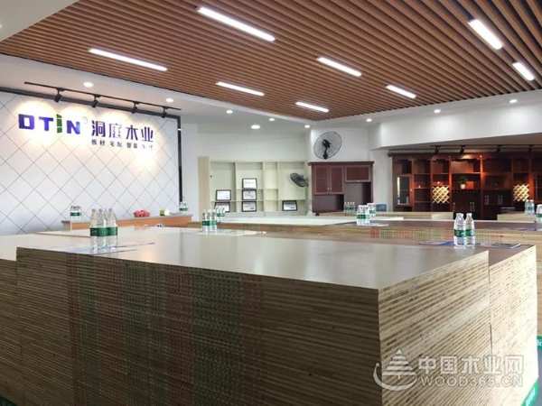 热烈祝贺洞庭木业株洲磐龙世纪城店隆重开业