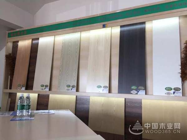 热烈祝贺洞庭木业株洲磐龙世纪城店隆重开业