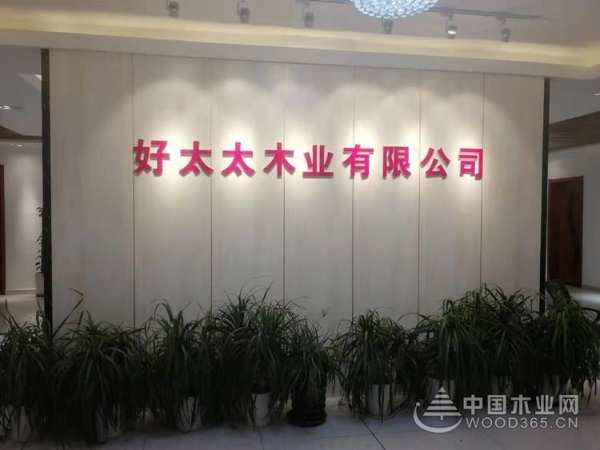 “金智生活”好太太成功落户山东临沂