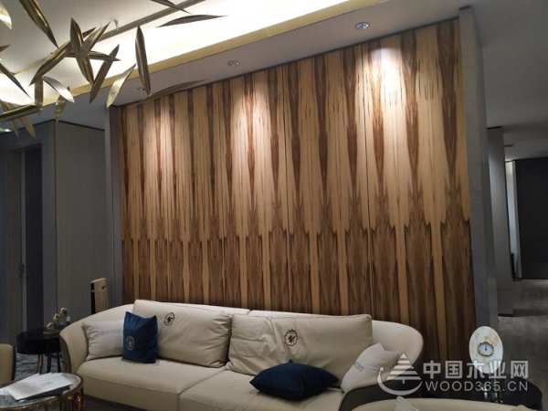 央视上榜品牌帝森元福可定涂装板新品重磅上市