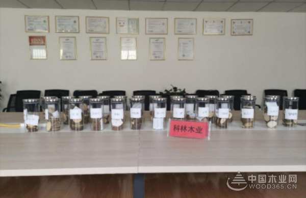 科林执行最严气味管控标准 板材品质再次提升