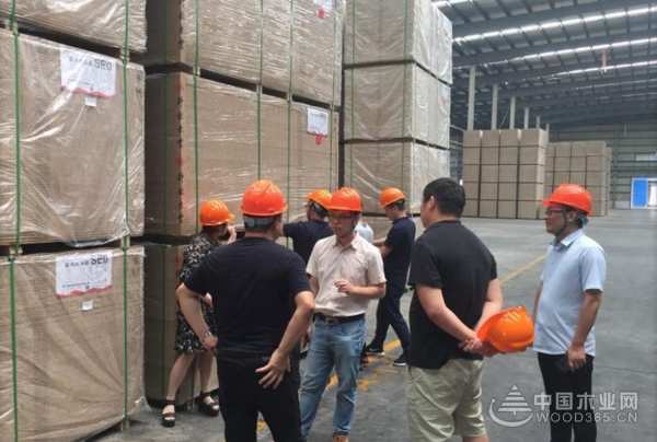 科林执行最严气味管控标准 板材品质再次提升