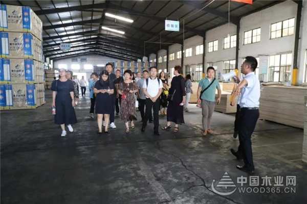 聚焦行业变革，共创品牌价值——豫晋建筑装饰协会领导携优秀装企到访莫干山