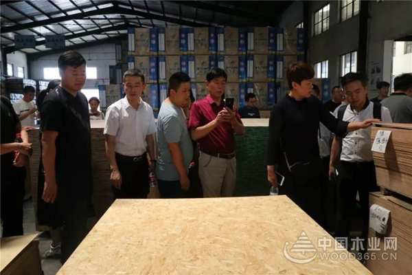 聚焦行业变革，共创品牌价值——豫晋建筑装饰协会领导携优秀装企到访莫干山