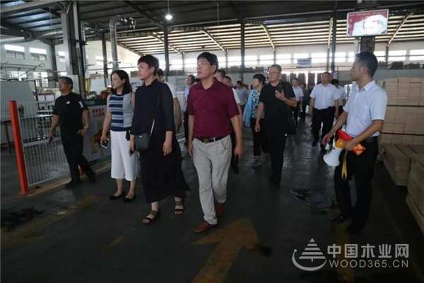 聚焦行业变革，共创品牌价值——豫晋建筑装饰协会领导携优秀装企到访莫干山