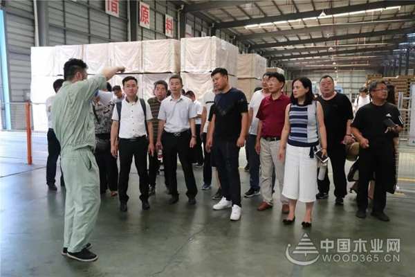 聚焦行业变革，共创品牌价值——豫晋建筑装饰协会领导携优秀装企到访莫干山
