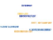 如果成为用大王椰板材的业主，你会有什么生活体验？