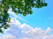 融化的夏日，家里有它太令人赏心悦目了！！！